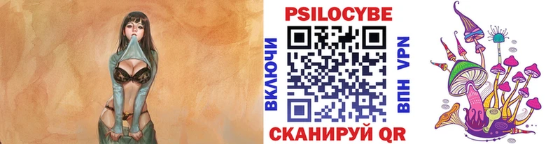 купить закладку  площадка официальный сайт  Псилоцибиновые грибы Psilocybine cubensis  Славск 